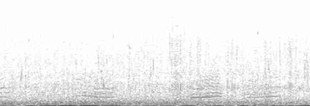 Branta musubeltza (hrota) - ML138271