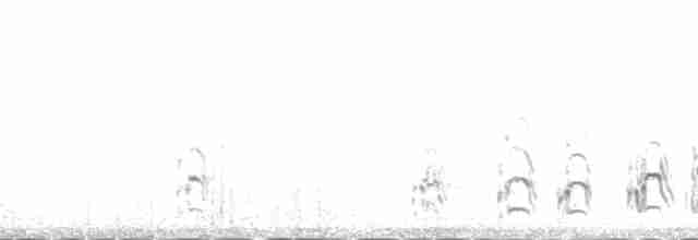 Длиннохвостый поморник - ML138273