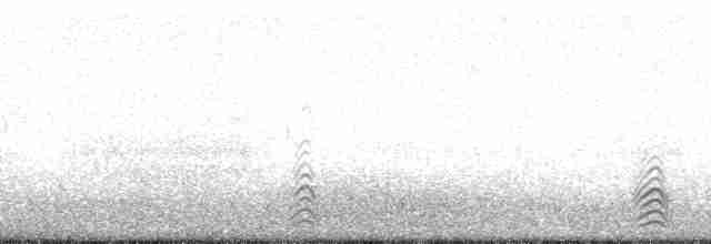 Küt Kuyruklu Korsanmartı - ML138277