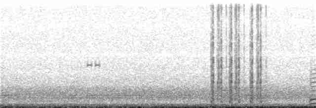 Cygne trompette - ML138315041