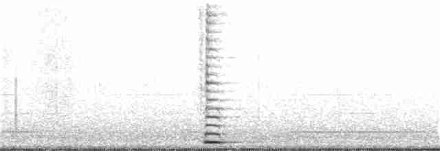Trumpeter Swan - ML138315051