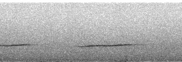 Cossyphe à poitrine blanche - ML138346