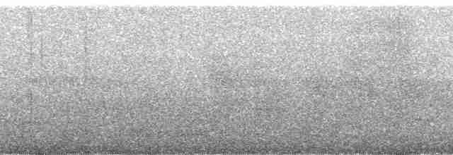 Канюк плямистогрудий - ML138348