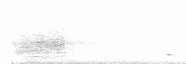 Sulphur-crested Cockatoo - ML138415801