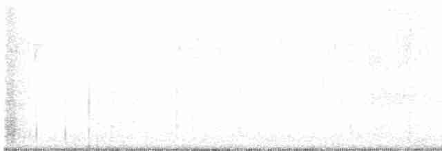 White-eyed Vireo - ML138427431