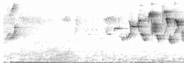 Зерноїд мальований - ML138445771