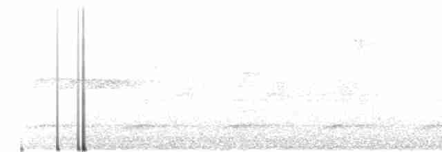 Keel-billed Toucan - ML138463691