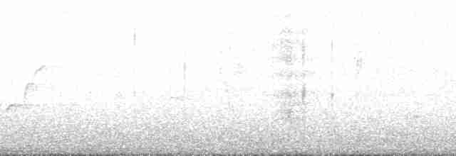 Сосновый дятел-сокоед - ML138517