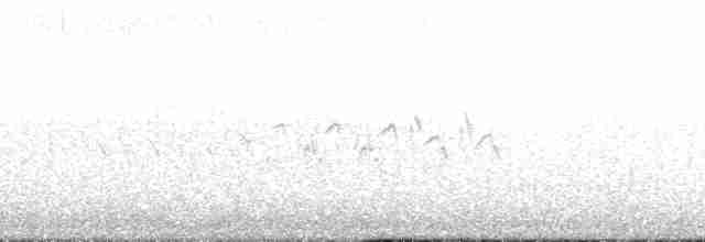 Дятел-смоктун сосновий - ML138519