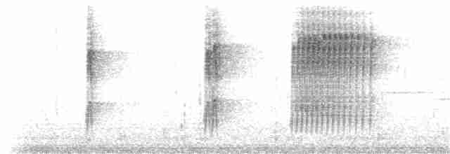 Белоухая сибия - ML138538291