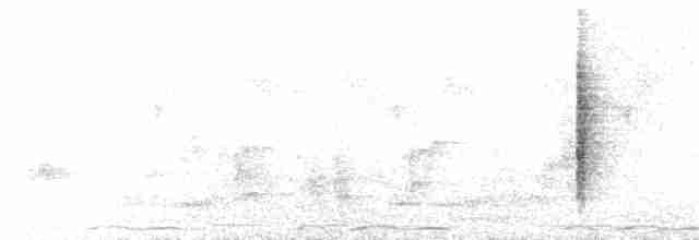Western Olivaceous Warbler - ML138554041