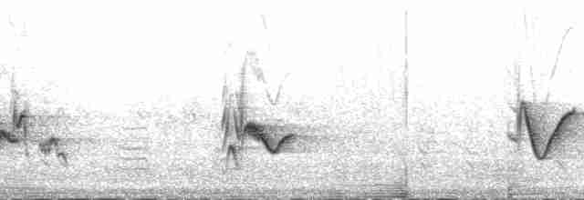 Kurşuni Vireo (plumbeus/gravis) - ML138585