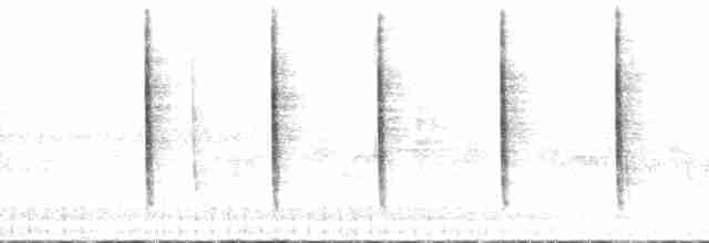 ユキヒメドリ（oreganus グループ） - ML138596