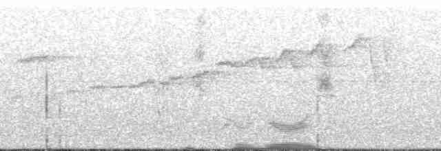 Зелонощёкая которра - ML13860