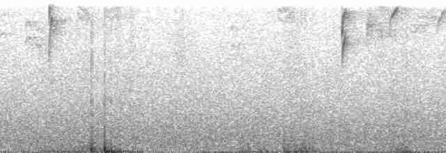 Black-eared Hemispingus (Black-eared) - ML138610