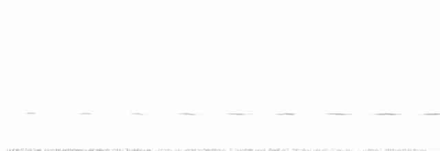 Cinclosome pointillé - ML138619771