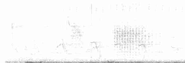 Clamorous Reed Warbler - ML138637241