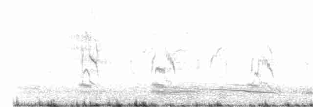 White-throated Kingfisher - ML138645711