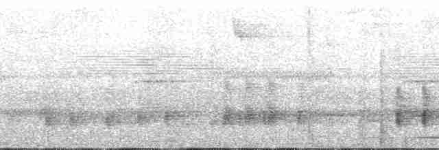 Strichelbrust-Ameisenpitta - ML138700
