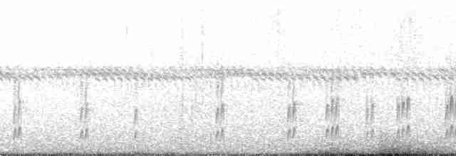 Graubrust-Dickichtschlüpfer - ML138709