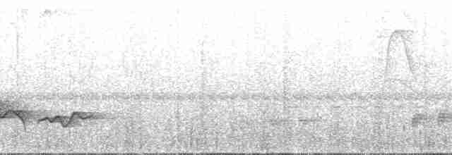 Rufous-browed Peppershrike (Northern) - ML138710