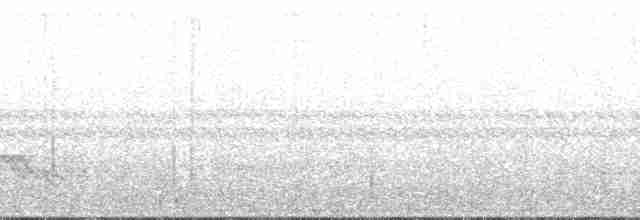 Graubrust-Dickichtschlüpfer - ML138711