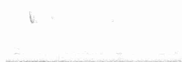 Северный сорокопут - ML138711691
