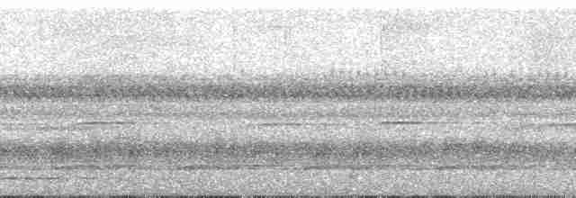Strichelbrust-Ameisenpitta - ML138719