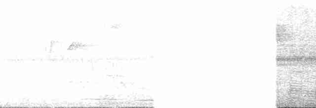 Gray-mantled Wren - ML138778