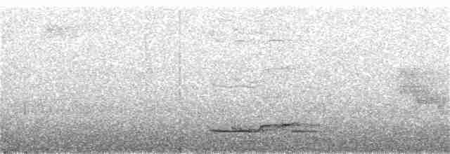 Long-tailed Manakin - ML138819591