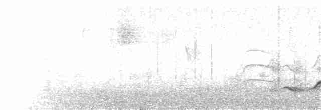 Long-billed Thrasher - ML138830971