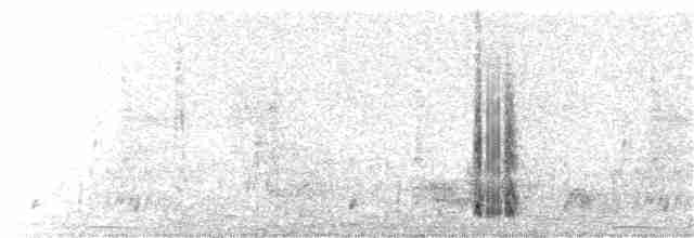 běhulíkovec pestrý - ML138831711
