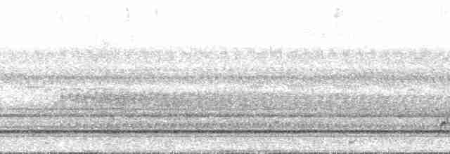Spot-tailed Nightjar - ML138841
