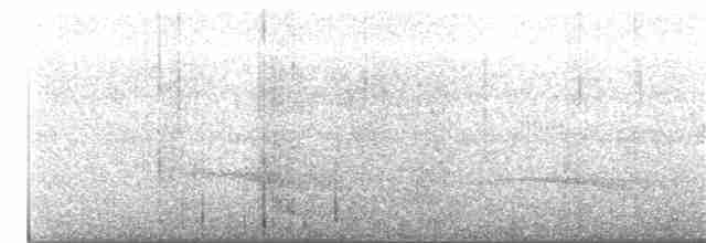 Black-eared Wood-Quail - ML138874461