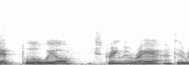 Ohrennachtschwalbe - ML138893