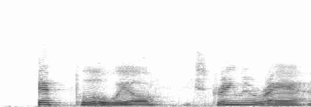 Ohrennachtschwalbe - ML138894