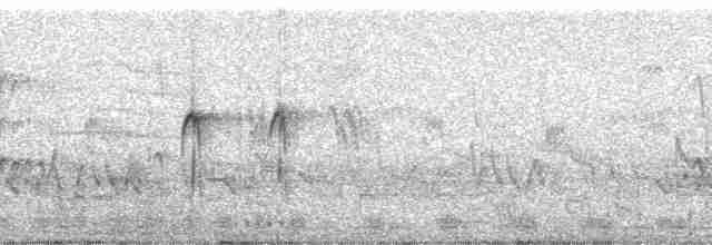 Little Bee-eater - ML138909