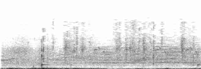 Karolina Çıtkuşu - ML138919471