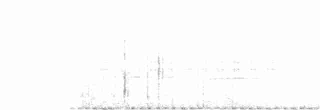 Russet-winged Schiffornis - ML138923971