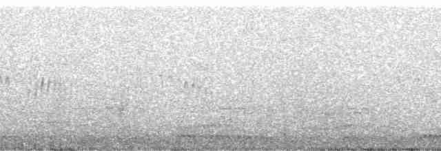 Голкохвіст плямистоволий - ML138947