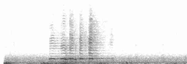 Cygne trompette - ML138960411