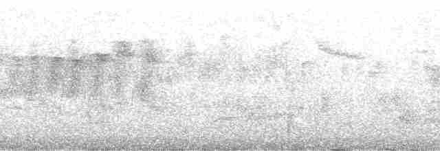 Ошейниковая щурка - ML138982