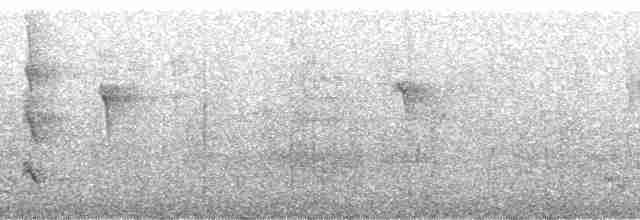 Ошейниковая щурка - ML138986