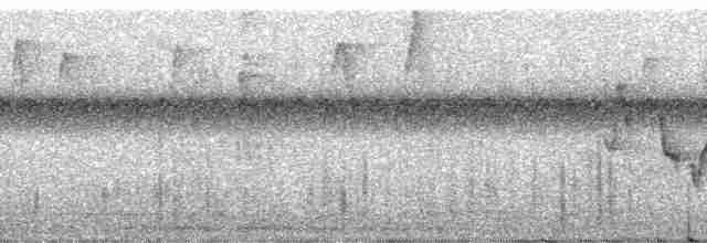 Короткохвостый виреончик (minor) - ML139003
