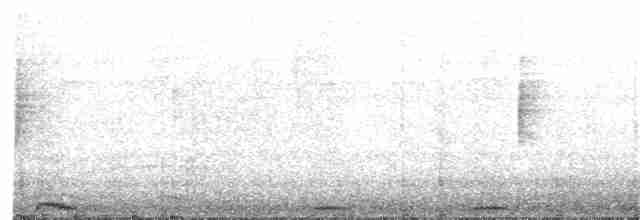 Russet-crowned Motmot - ML139007591
