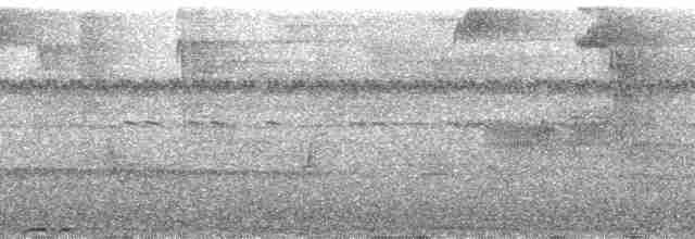 Kurzschwanz-Ameisenvogel - ML139009
