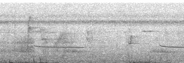 White-tailed Trogon - ML139015