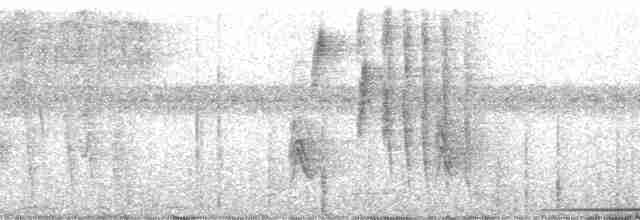 holub bledoprsý - ML139053