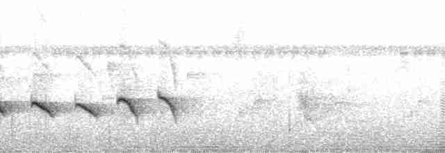 Stub-tailed Antbird - ML139069