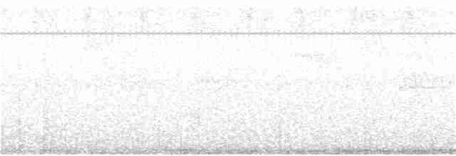 Small-billed Tinamou - ML139109711